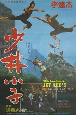 少林小子海报
