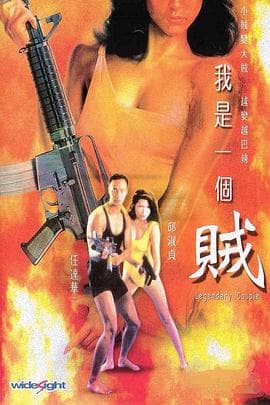 我是一个贼粤语海报