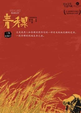 青稞海报
